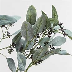 Body Butter (Drop down box to select)