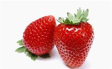Sugar Scrub Large 11 oz (drop box all brands)