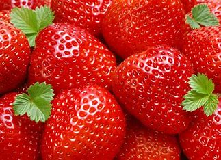 Click to view all Lotions