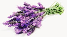 Lavender Soap (Goats Milk)